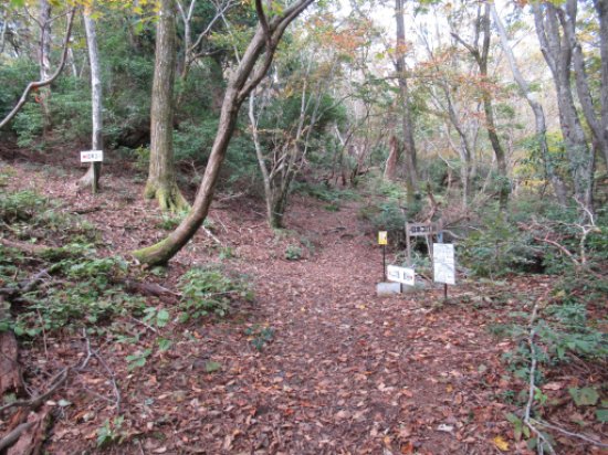  政所道藤川谷道分岐（南）